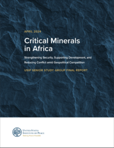 Critical Minerals in Africa